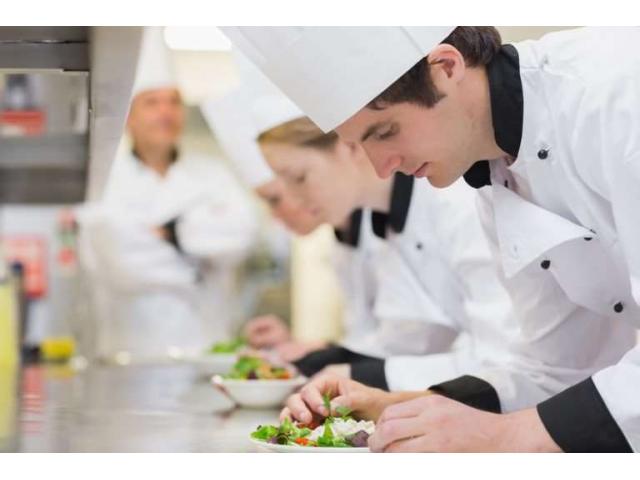 Curs de bucătar!  Grăbește-te să obții o profesie nouă în cel mai scurt timp!