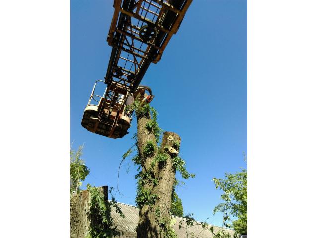 Уборка запущенных участков. Благоустройство.