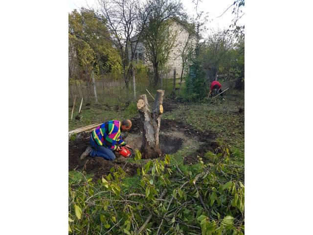 Уборка участков. резка деревьев