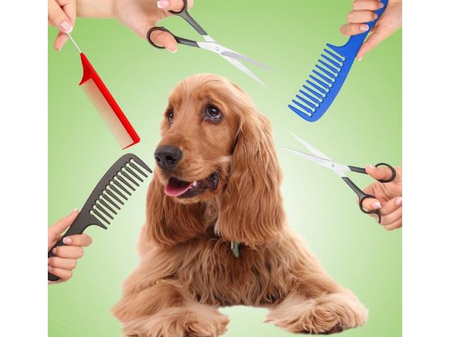 Стрижка собак и кошек. Буюканы.