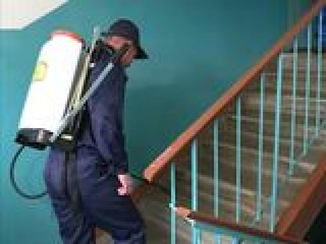 Уборка подъездов Дезинфекция подъездов