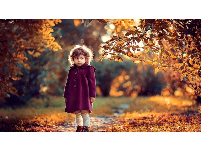 Oсенниe фoтoсессии и видеo в самом рaзгaре
