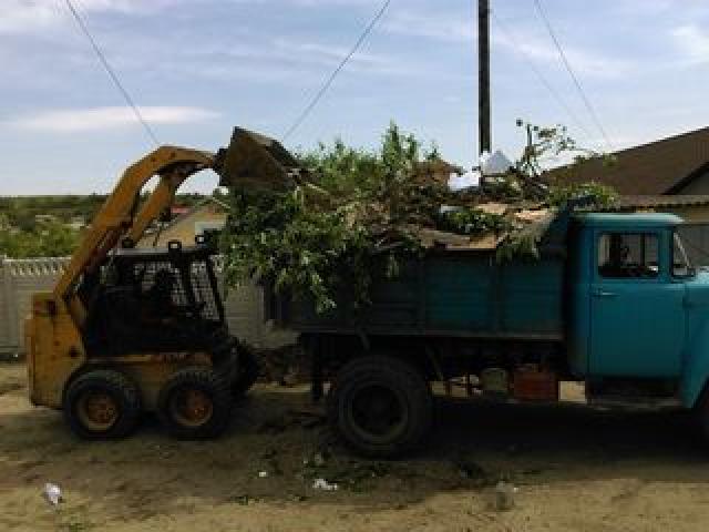 Уборка участков, Резка деревьев