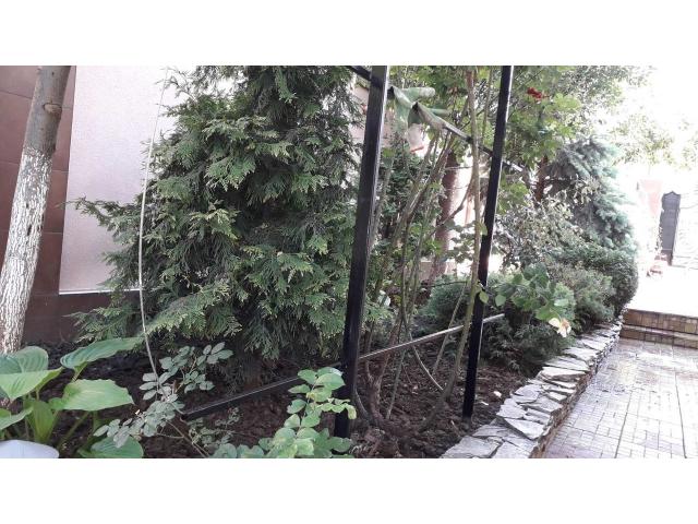 ландшафтный дизайн стрижка газона топиарная стрижка уход за садом