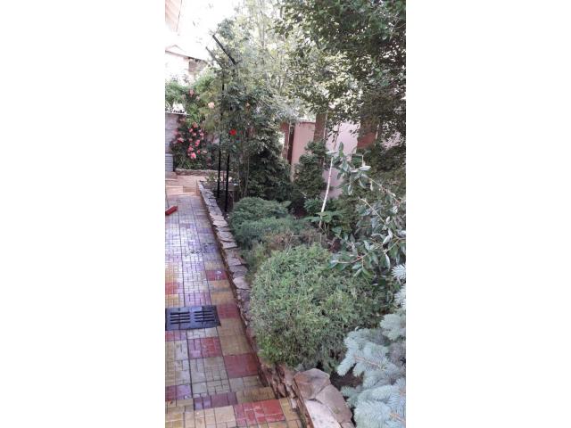 ландшафтный дизайн стрижка газона топиарная стрижка уход за садом