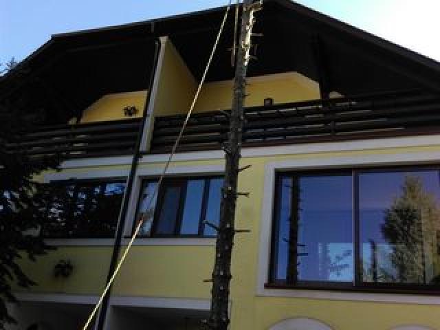 Резка деревьев