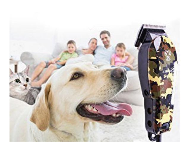 Стрижка (груминг) животных своими руками.