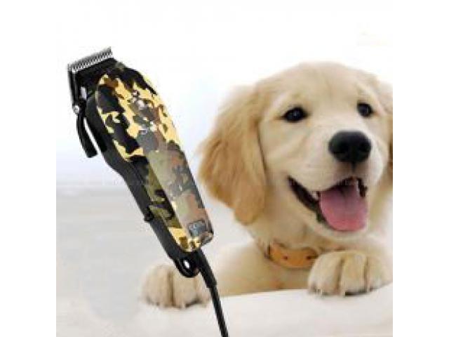 Стрижка (груминг) животных своими руками.