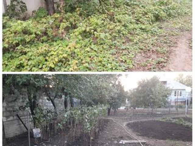 Благоустройство (уборка дачных участков) .