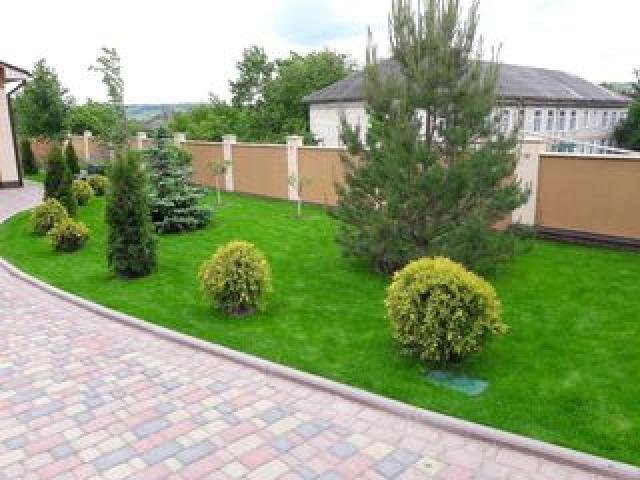 Мы предлагаем профессиональные услуги для вашего двора и зеленых насаждений!