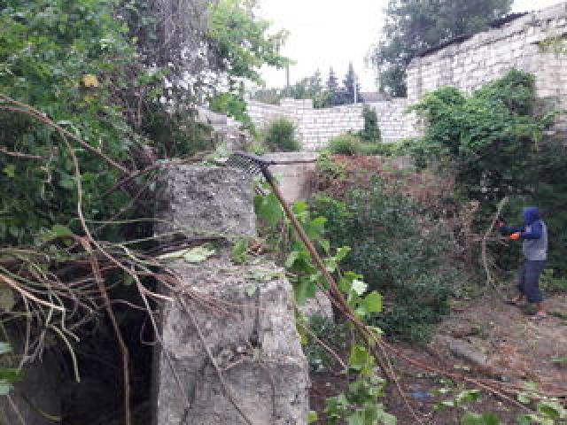 Благоустройство и уборка дачных участков любой запущенности .