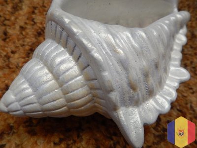 Ракушки для интерьера