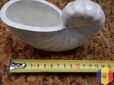 Ракушки для интерьера