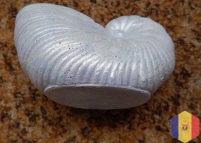 Ракушки для интерьера