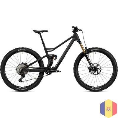 2025 Radon JAB 10.0 Mountain Bike (ZONACYCLES)