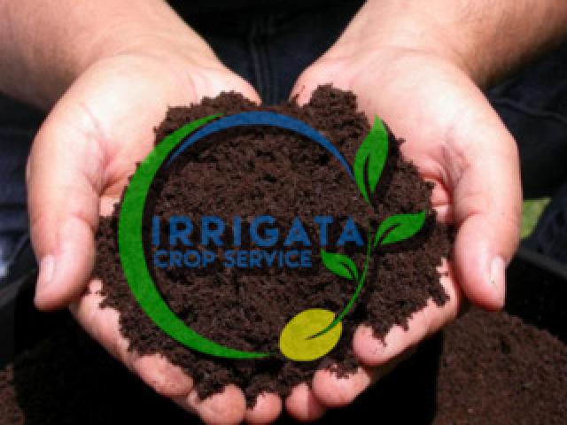 Торф, субстрат, грунт для выращивания.