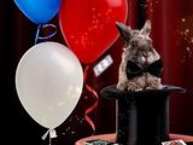 Фокусник мр.магелан. клоун арлекино. праздник запомнят навсегда.