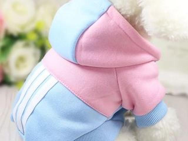 Одежда для любимых питомцев .