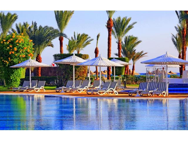 ПРЕДЛАГАЮ ОТДЫХ В ЕГИПТЕ