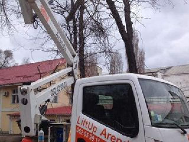 Резка дров и деревьев бензопилой .