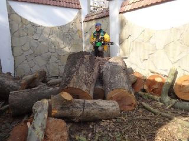 Бензопильщик.Пилю дрова. Распиловка дров и деревьев. Колка дров .