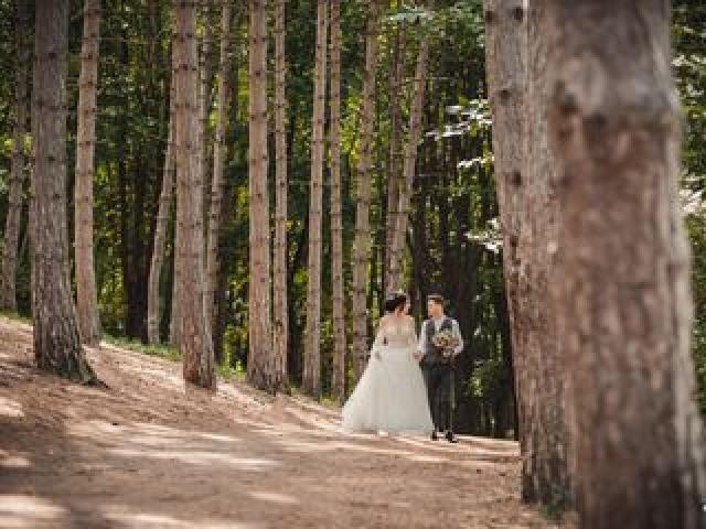 Фото-видео на свадьбу .