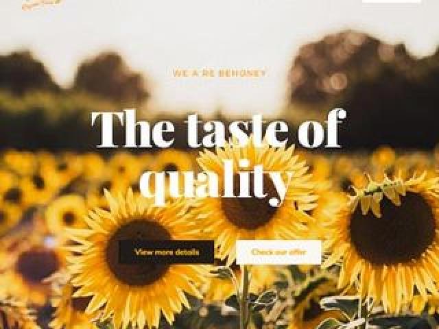 Создание сайтов продвижение, администрирование.