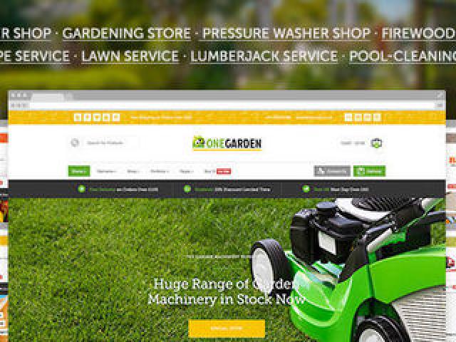 Сайты профессионально, большой опыт и практика .