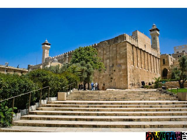 Эконом: Паломничество на Святую Землю! - 529$