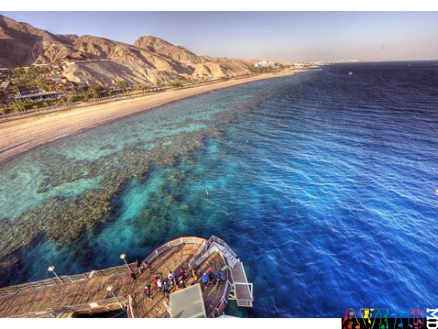 Яркий отдых на Красном море Эйлата - 830$