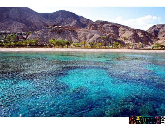 Яркий отдых на Красном море Эйлата - 830$