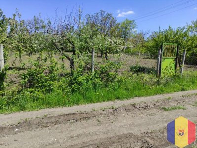 Продам Дачу - Участок 6 соток Максимовка в хорошем месте. Асфальт, Газ.