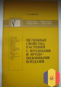 Целебные свойства растений с ягодными и ягодно-подобными плодами