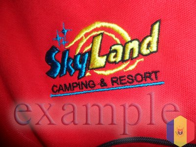 Вышивка на кепках, Вышивка логотипов