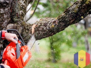 Резка деревьев