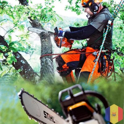 Бензопильщик. Распиловка деревьев