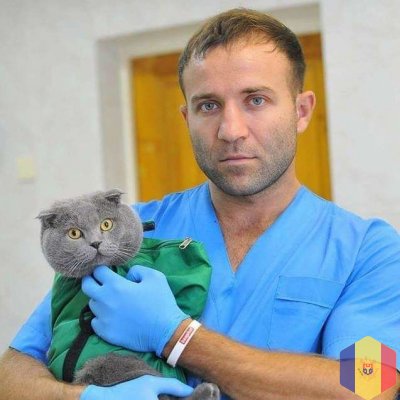 Врач ветеринар с опытом