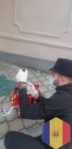 Врач ветеринар с опытом