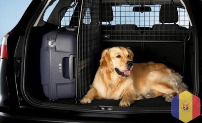 Зооперевозки