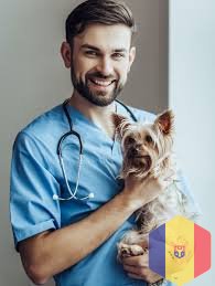 Вызов ветеринара. Бесплатная консультация по телефону