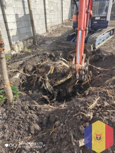 Уборка очень запущенных территорий