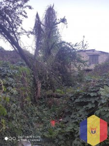 Уборка очень запущенных территорий