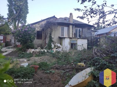 Уборка очень запущенных территорий