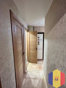 Строительная организация сделает вам ремонт без головных болей