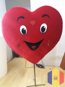 Костюмы Сердца и Микки Мауса на заказ