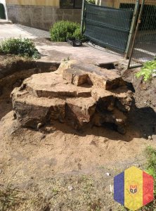 Выкорчёвка пней, корень. Резка деревьев