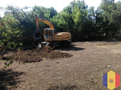 Выкорчёвка пней, корень. Резка деревьев