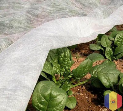 Белое Агроволокно