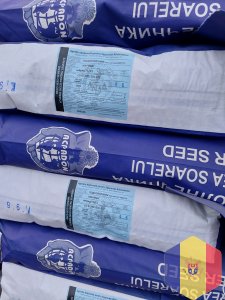 Семена подсолнуху Марица и Ориентир