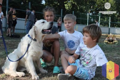 Dresaj canin Дрессировка собак